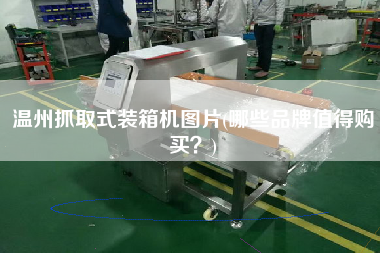 温州抓取式装箱机图片(哪些品牌值得购买?) 温州抓取式装箱机图片(哪些品牌值得购买?)