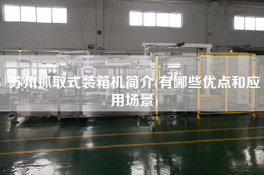 苏州抓取式装箱机简介(有哪些优点和应用场景) 苏州抓取式装箱机简介(有哪些优点和应用场景)