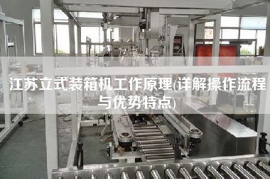 江苏立式装箱机工作原理(详解操作流程与优势特点) 江苏立式装箱机工作原理(详解操作流程与优势特点)