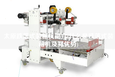 太原跌落式装箱机简介(什么是跌落式装箱机及其优势) 太原跌落式装箱机简介(什么是跌落式装箱机及其优势)