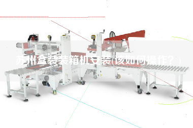 苏州盒装装箱机安装(该如何操作?) 苏州盒装装箱机安装(该如何操作?)