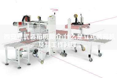 西安立式装箱机简介(什么是立式装箱机及其工作原理)。 西安立式装箱机简介(什么是立式装箱机及其工作原理)。