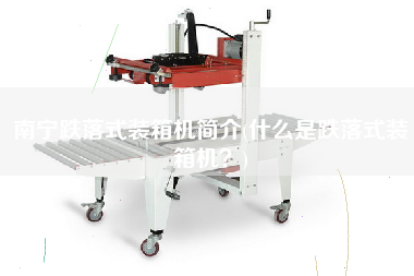 南宁跌落式装箱机简介(什么是跌落式装箱机?) 南宁跌落式装箱机简介(什么是跌落式装箱机?)