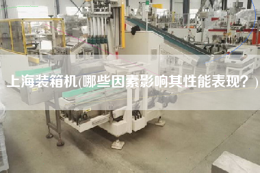 上海装箱机(哪些因素影响其性能表现?) 上海装箱机(哪些因素影响其性能表现?)