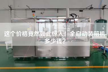 这个价格竟然如此惊人!全自动装箱机多少钱? 这个价格竟然如此惊人!全自动装箱机多少钱?