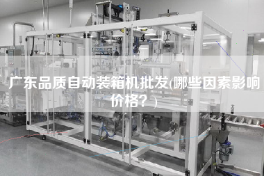 广东品质自动装箱机批发(哪些因素影响价格?) 广东品质自动装箱机批发(哪些因素影响价格?)