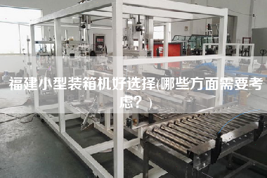 福建小型装箱机好选择(哪些方面需要考虑?) 福建小型装箱机好选择(哪些方面需要考虑?)
