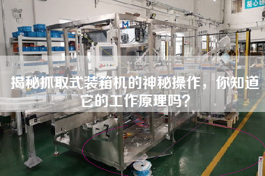 揭秘抓取式装箱机的神秘操作，你知道它的工作原理吗？