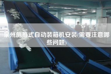泉州侧推式自动装箱机安装(需要注意哪些问题) 泉州侧推式自动装箱机安装(需要注意哪些问题)