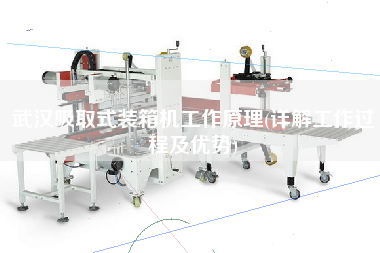 武汉吸取式装箱机工作原理(详解工作过程及优势) 武汉吸取式装箱机工作原理(详解工作过程及优势)