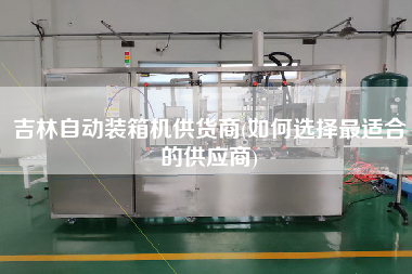 吉林自动装箱机供货商(如何选择z适合的供应商) 吉林自动装箱机供货商(如何选择z适合的供应商)