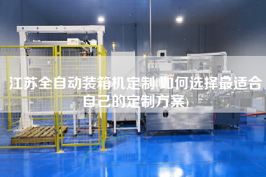 江苏全自动装箱机定制(如何选择z适合自己的定制方案) 江苏全自动装箱机定制(如何选择z适合自己的定制方案)