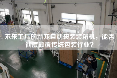 未来工厂的新宠自动袋装装箱机，能否彻底颠覆传统包装行业？