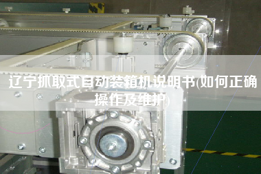 辽宁抓取式自动装箱机说明书(如何正确操作及维护) 辽宁抓取式自动装箱机说明书(如何正确操作及维护)
