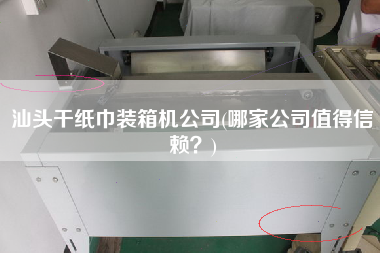 汕头干纸巾装箱机公司(哪家公司值得信赖?) 汕头干纸巾装箱机公司(哪家公司值得信赖?)
