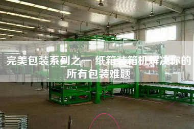 完美包装系列之一 纸箱装箱机解决你的所有包装难题 完美包装系列之一 纸箱装箱机解决你的所有包装难题