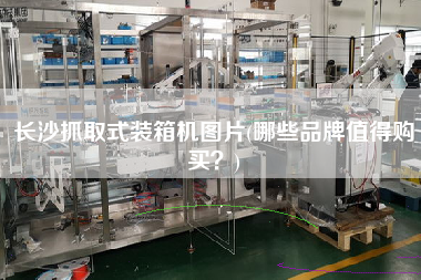 长沙抓取式装箱机图片(哪些品牌值得购买?) 长沙抓取式装箱机图片(哪些品牌值得购买?)