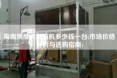 海南侧推式装箱机多少钱一台(市场价格分析与选购指南) 海南侧推式装箱机多少钱一台(市场价格分析与选购指南)