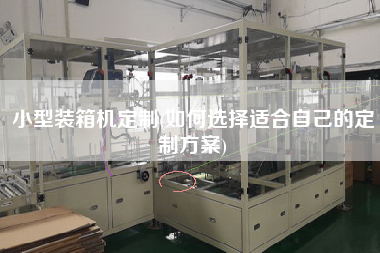 小型装箱机定制(如何选择适合自己的定制方案)