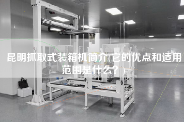 昆明抓取式装箱机简介(它的优点和适用范围是什么?) 昆明抓取式装箱机简介(它的优点和适用范围是什么?)