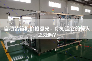 自动装箱机价格曝光,你知道它的惊人之处吗? 自动装箱机价格曝光,你知道它的惊人之处吗?