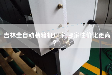 吉林全自动装箱机厂家(哪家性价比z高?) 吉林全自动装箱机厂家(哪家性价比z高?)
