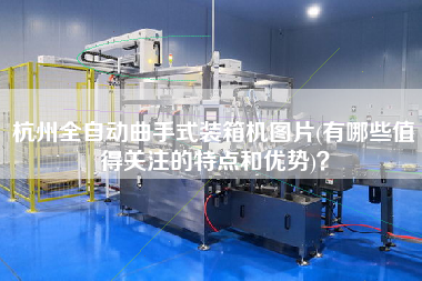 杭州全自动曲手式装箱机图片(有哪些值得关注的特点和优势)? 杭州全自动曲手式装箱机图片(有哪些值得关注的特点和优势)?