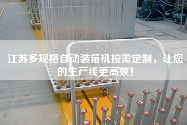 江苏多规格自动装箱机按需定制,让您的生产线z高效! 江苏多规格自动装箱机按需定制,让您的生产线z高效!