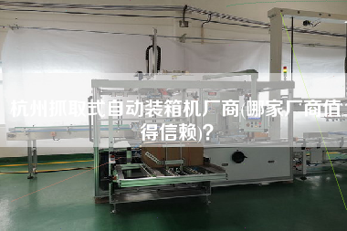 杭州抓取式自动装箱机厂商(哪家厂商值得信赖)? 杭州抓取式自动装箱机厂商(哪家厂商值得信赖)?