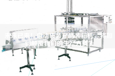 未来已来!自动袋装产品装箱机,将如何颠覆我们的生产方式? 未来已来!自动袋装产品装箱机,将如何颠覆我们的生产方式?