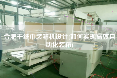 合肥干纸巾装箱机设计(如何实现高效自动化装箱) 合肥干纸巾装箱机设计(如何实现高效自动化装箱)