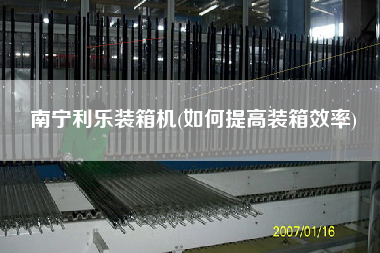 南宁利乐装箱机(如何提高装箱效率) 南宁利乐装箱机(如何提高装箱效率)