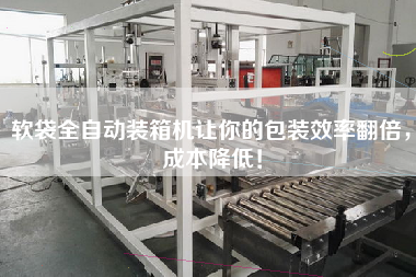 软袋全自动装箱机让你的包装效率翻倍,成本降低! 软袋全自动装箱机让你的包装效率翻倍,成本降低!
