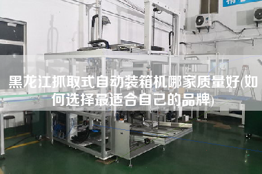 黑龙江抓取式自动装箱机哪家质量好(如何选择z适合自己的品牌) 黑龙江抓取式自动装箱机哪家质量好(如何选择z适合自己的品牌)