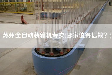 苏州全自动装箱机专卖(哪家值得信赖?) 苏州全自动装箱机专卖(哪家值得信赖?)
