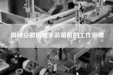 揭秘安徽机械手装箱机的工作原理 揭秘安徽机械手装箱机的工作原理