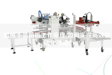 机械手装箱机工作原理(如何实现高效自动化装箱) 机械手装箱机工作原理(如何实现高效自动化装箱)