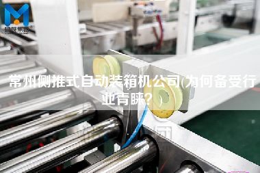 常州侧推式自动装箱机公司(为何备受行业青睐?) 常州侧推式自动装箱机公司(为何备受行业青睐?)