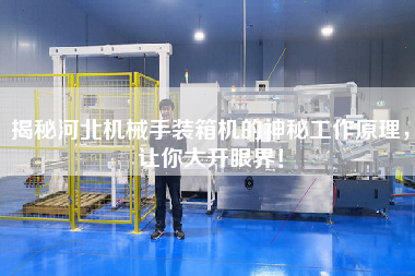揭秘河北机械手装箱机的神秘工作原理,让你大开眼界! 揭秘河北机械手装箱机的神秘工作原理,让你大开眼界!