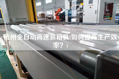 杭州全自动高速装箱机(如何提高生产效率?) 杭州全自动高速装箱机(如何提高生产效率?)